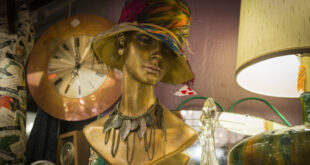 Photograph of Golden Lady by Brandy Isadora Photography