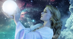 Sherry's Cherries - Shadows in the Moonlight